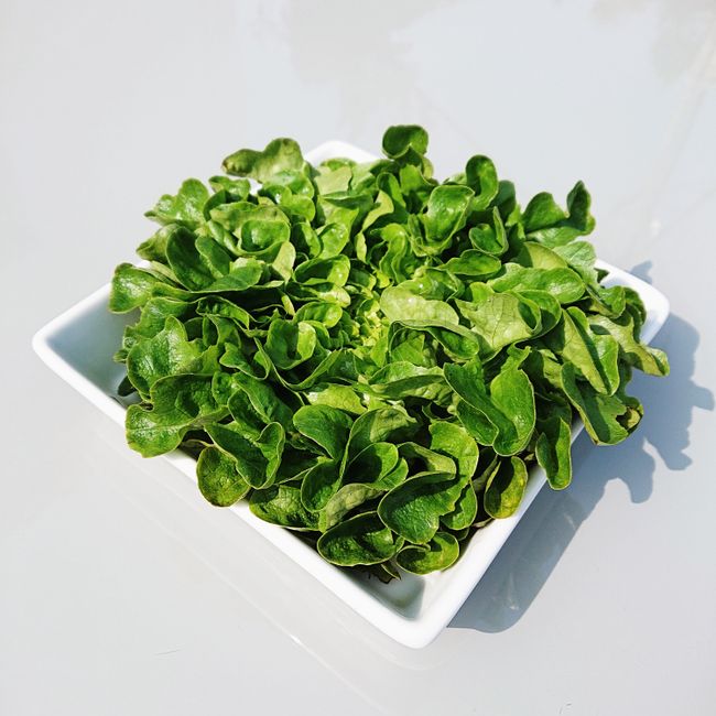 Salade Fraîcheur du Faso